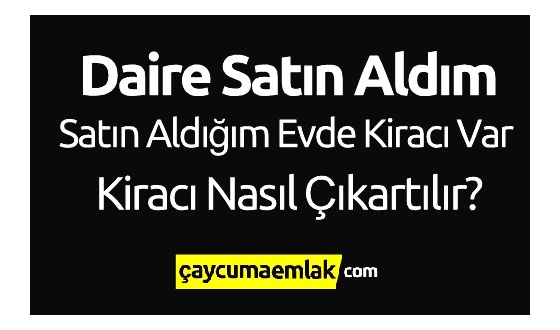 Satın Alınan Evde Kiracı Varsa Süreç Nasıl İşler?